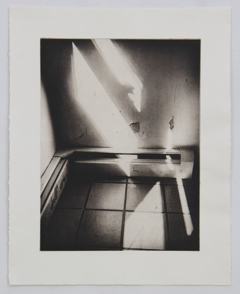 Beth Garramone-Ross, Tattletale Light In The Kitchen Corner, 2019, Polymer, photogravure, gampi c...