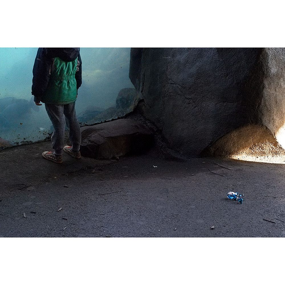 Juvenescence, 2019-2020, Digital Photographs, 12 x 18