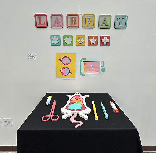 BSVA Thesis Work 010