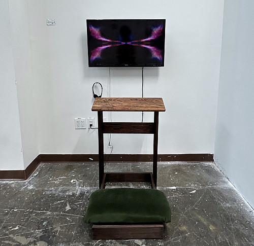 BSVA Thesis Work 008