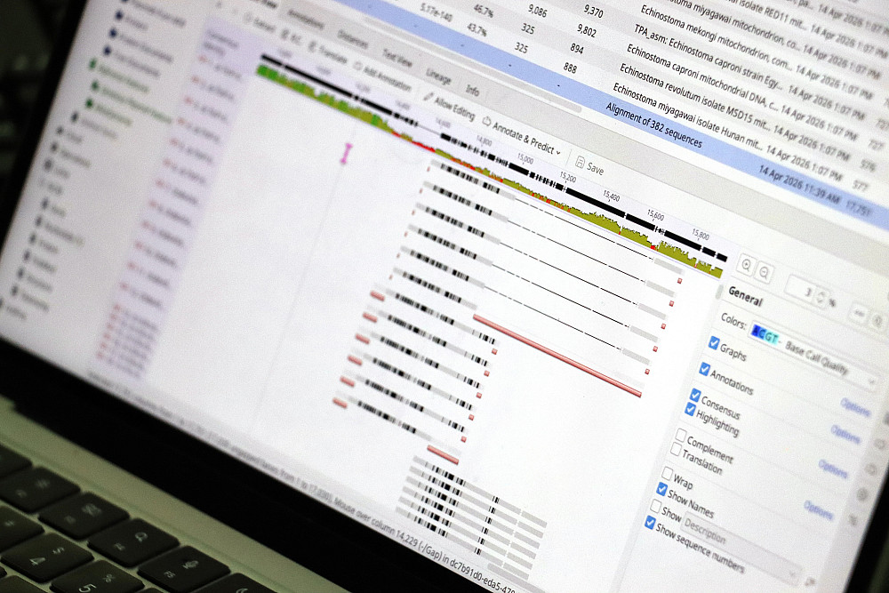 Partial laptop screen with data