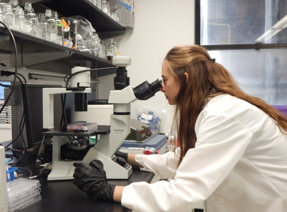 Mackenzie Sky '23 at work as a research intern at the Columbia Irving Institute for Cancer Dynami...