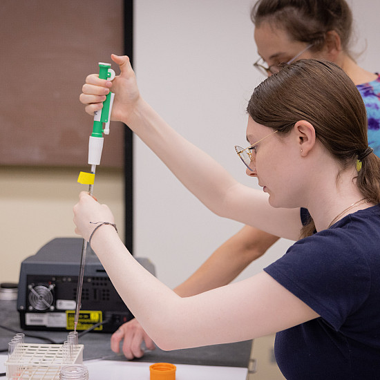 Students at work in the General Biology 1 Lab.