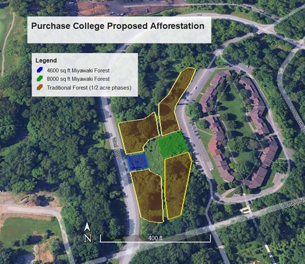 Proposed afforestation plan for the Commons Experimental Forest