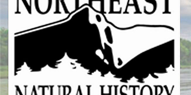 ENV undergrads at the Northeast Natural History Conference ...