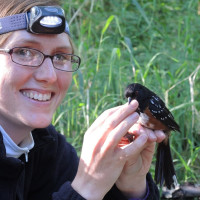 Dr. Jackson holding a bird during the banding process