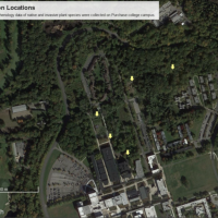 Photo shows locations we observed on campus
