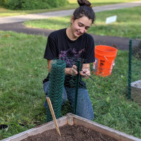 Sam Scalice putting up rabbit fence in the native plant garden, fall 2019