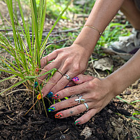 Get your hands dirty in our Native Pollinator Garden.