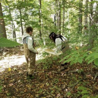    In this photo, college students are collecting samples of the bugs on land to determine what t...