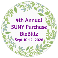 4th Annual SUNY Purchase BioBlitz Sept 10-12, 2026