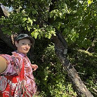Amelia Zawacki setting up trail cams