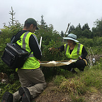 Matt Garafalo and Batya Johnson collecting insects in Acadia National Park