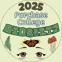BioBlitz 2025 logo designed by Luna Garcia '26