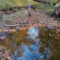 Student surveying Blind Brook in waders