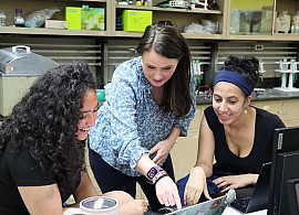 Dr. Ebbs helping students in the lab