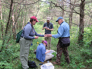 Patrick Harmon worked with the endangered northern metalmark butterfly