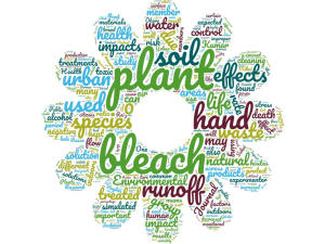Word cloud for this group's study of hand sanitizer and bleach effect on plants