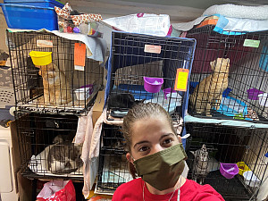 Gianna interning at Bronx Tails Cat Rescue