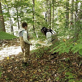 In this photo, college students are collecting samples of the bugs on land to determine what types of bugs live there and roughly how ...
