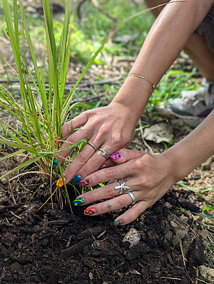 Get your hands dirty in our Native Pollinator Garden.