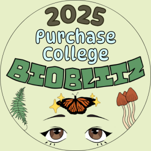 BioBlitz 2025 logo designed by Luna Garcia '26