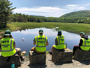 Students overlooking Gilmore marsh