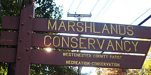 Sign at front entrance of the Marshlands where Sean interned
