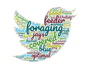 Word cloud for this group's project looking at blue jay foraging preferences