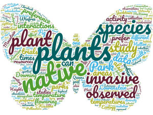Word cloud for this group's project looking at pollinator preference of native vs invasive plants