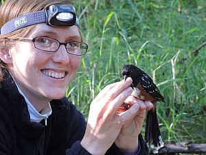 Dr. Jackson holding a bird during the banding process