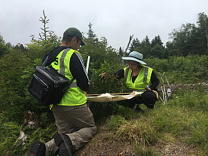 Matt Garafalo and Batya Johnson collecting insects in Acadia National Park