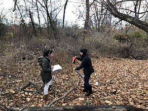 Luz Medina and Jessica Lau measure plants in forest fragments