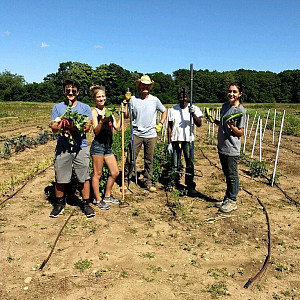 Sam and other gardeners working in summer 2018