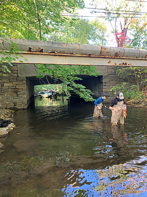 Two dedicated students out in Blind Brook assessing nutrient content, temperatures, and dissolved solids, potentially a result of our nei...