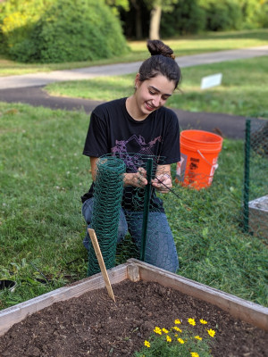 Sam Scalice putting up rabbit fence in the native plant garden, fall 2019