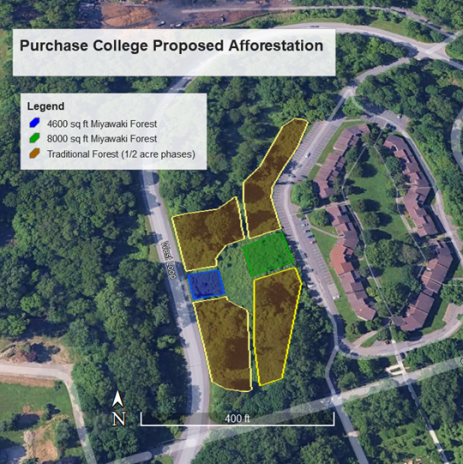 Proposed afforestation plan for the Commons Experimental Forest