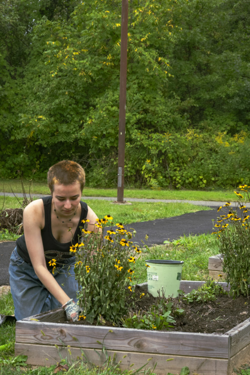 Student at work in the Purchase Garden
