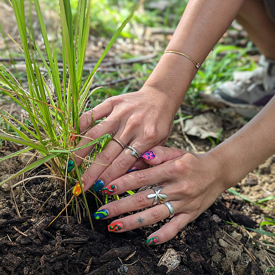 Get your hands dirty in our Native Pollinator Garden.