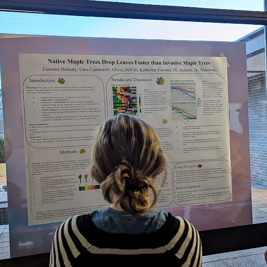 Visitor reading a scientific poster at the Ecology Poster Session