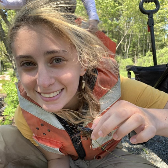 Samantha DeTurris '24 works in the field in Maine's Acadia National Park.