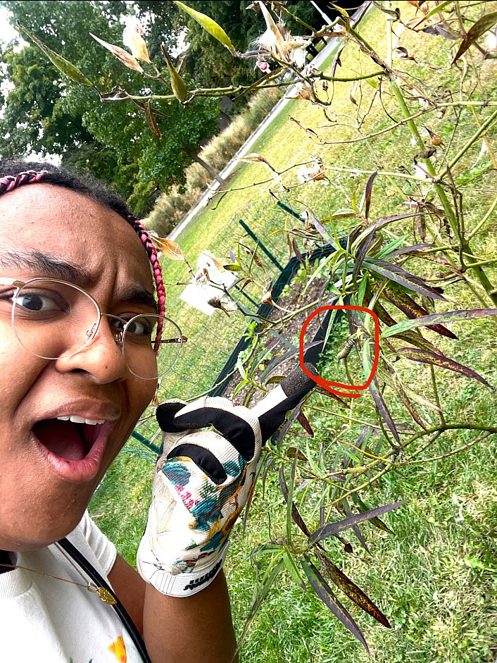 Me with a Monarch caterpillar (I've never seen one in real life before!)