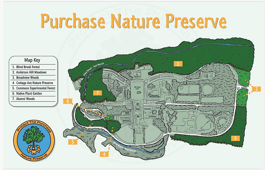 Map of Purchase College Nature Preserve designed by sustainability interns and Community Design class