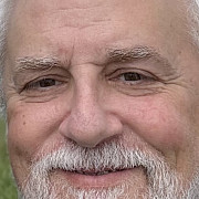 Professor David Bassuk