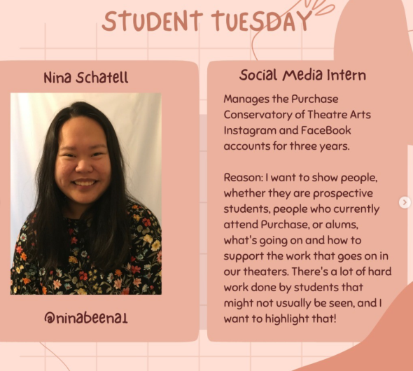 Head shot of Nina and an explanation of what the internship entails.