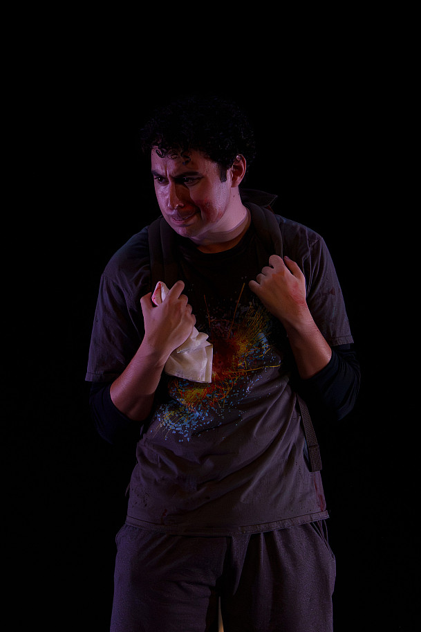 Gabe Stein - Luke - Mosquitoes