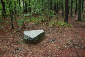 A boulder marks the location where Brister Freeman's house is thought to have stood in Walden Woods. (Courtesy of the Walden Woods Project)