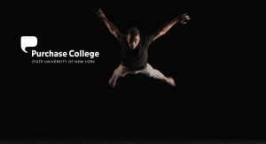 Screenshot of Purchase Dance Co NYLA Preview