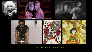 Cinema Studies series