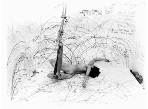 Carolee Schneemann 2012